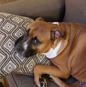 Meet your Posher, Tammy